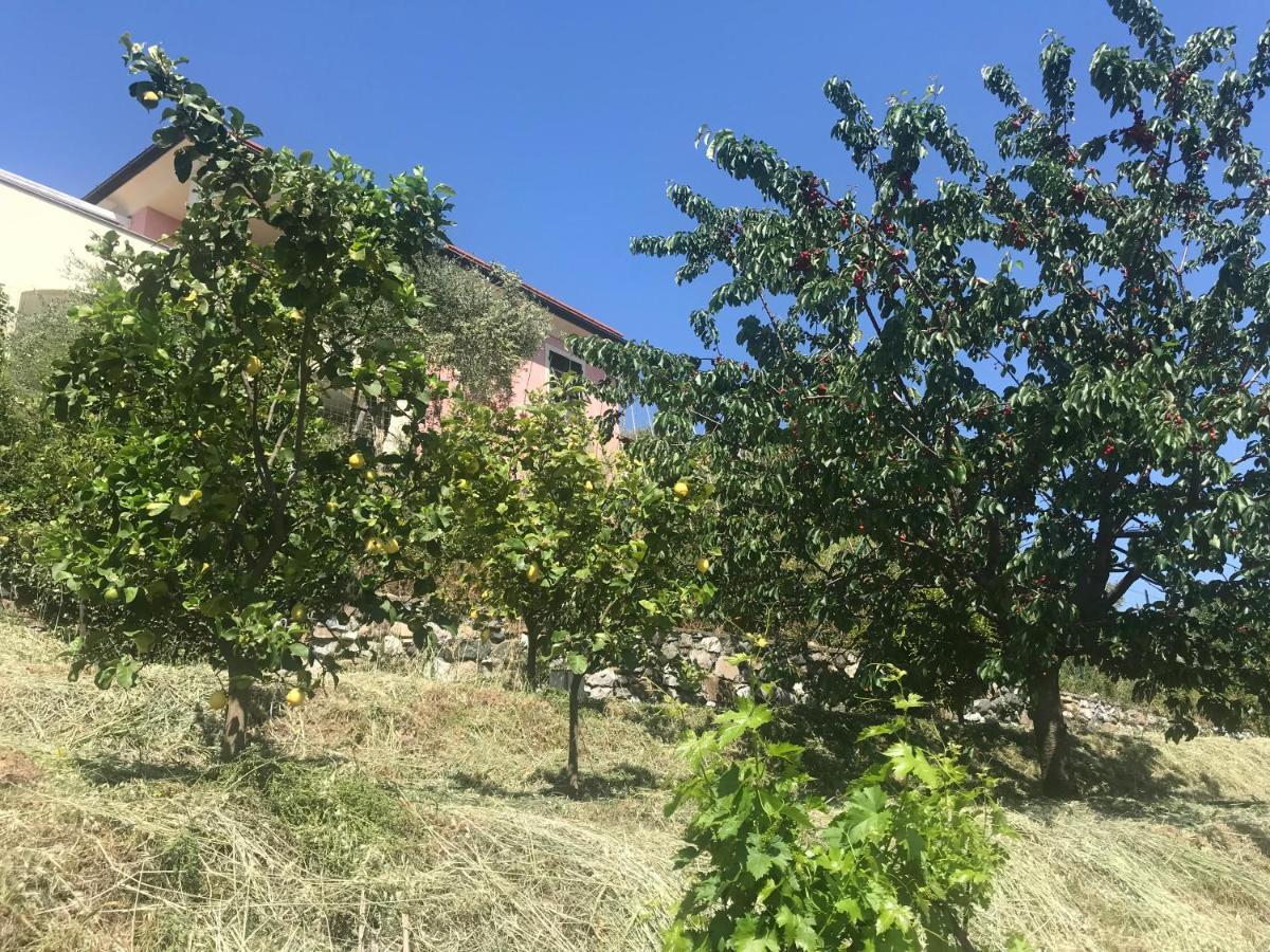 Villa Teresa Casarza Ligure Exterior foto