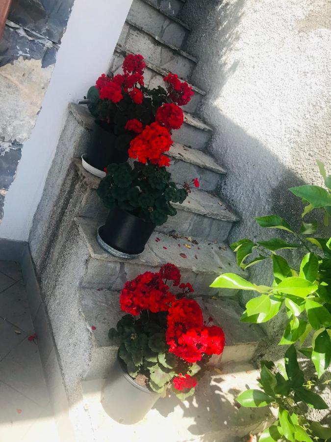 Villa Teresa Casarza Ligure Exterior foto